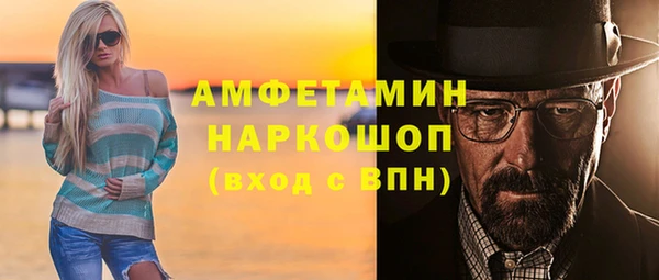спиды Гвардейск