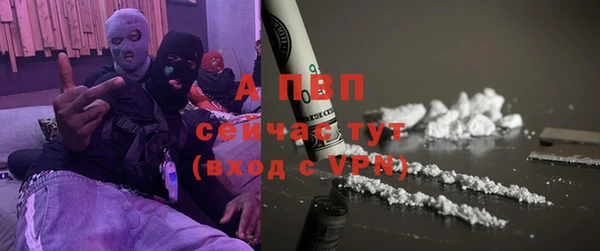 a pvp Каменногорск