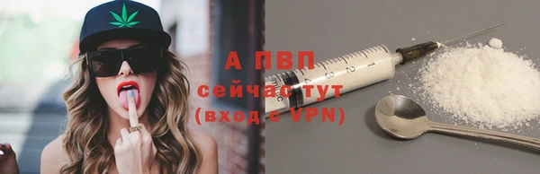 Альфа ПВП Каменка