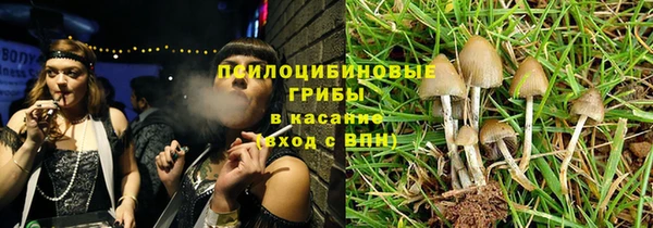 a pvp Каменногорск