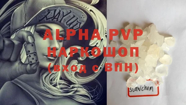 сатива Галич